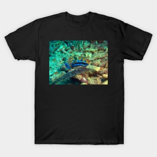 Purple Nudibranch T-Shirt